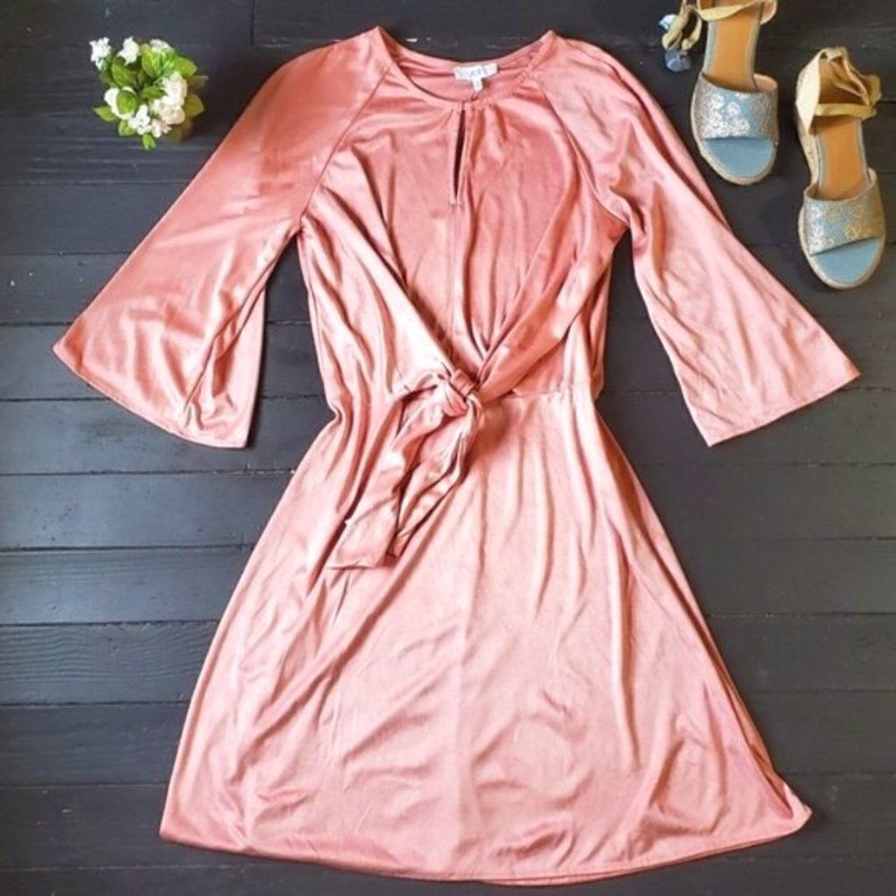 NWT NSR Soft Plush Dress